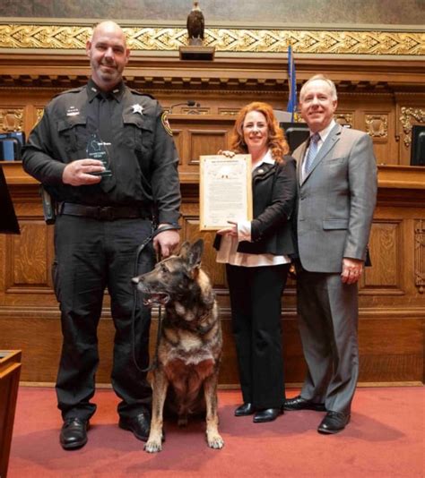 K9 Riggs El Perro Policía Que Sobrevivió A Un Disparo En La Cabeza Para Convertirse En Leyenda