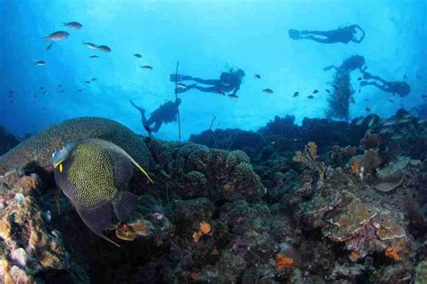 Mergulho em Curaçao Férias de Mergulho no Caribe Mergulho em Curaçao