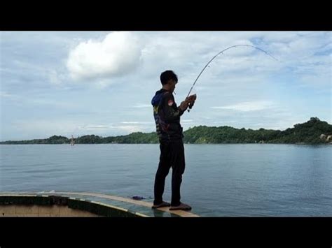 Cara Mengeluarkan Ikan Yang Tersangkut Di Batu Karang Mancing Di