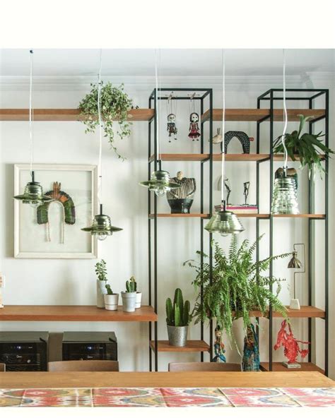 Samambaia Ideias De Decora O E Como Cuidar Adequadamente Rack