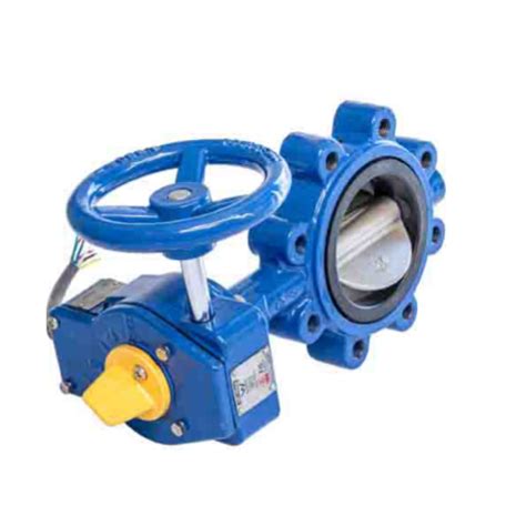 Lugged Butterfly Valve – All Soluzions