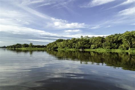 Free Images Landscape Sea Nature Forest Horizon Marsh Cloud