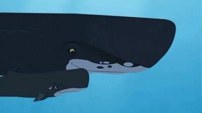 Wild Kratts - Whale of a Squid - TheTVDB.com