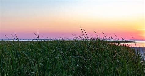 Sunset And Tall Grass Album On Imgur