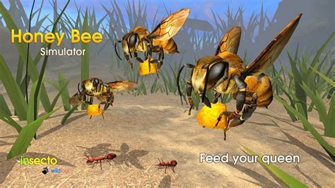 Honey Bee Simulator Android Gameplay Hd Youtube