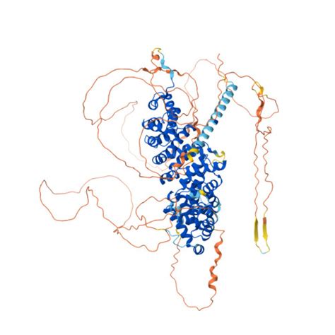 Rcsb Pdb Af Afo F Computed Structure Model Of Catenin Delta