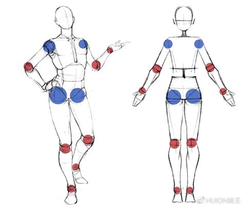 【干货】教你如何画人体！人体结构、动态怎么画？ 哔哩哔哩