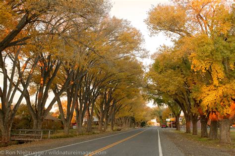 Torrey Utah | Photos by Ron Niebrugge