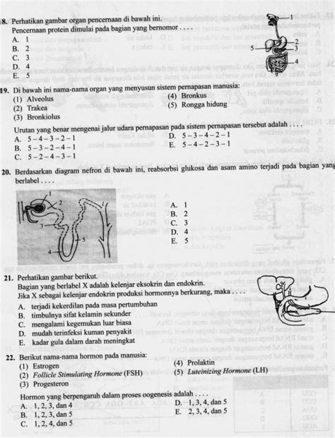 Biologi Gonzaga Try Out 2 Biologi Jakarta