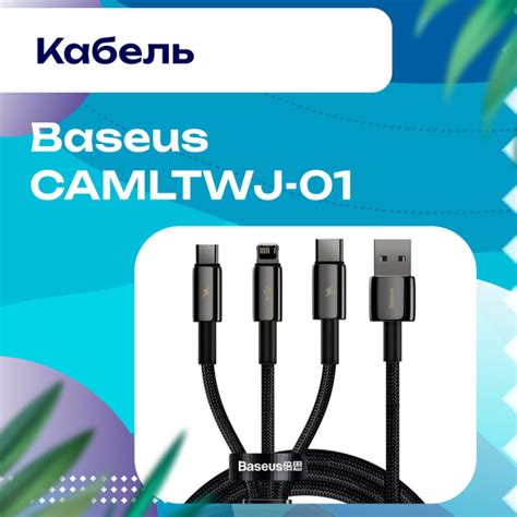 Кабель USB Type-C, USB 2.0 Baseus Tungsten Gold One-for-three Fast ...