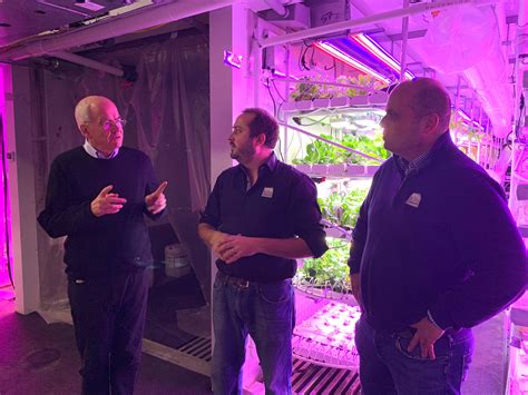 Obituary: Remembering the Life of Anthony Richard Giunta 25