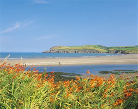 Explore Cardigan Bay Beaches Cardigan Holidays Brongwyn Holidays