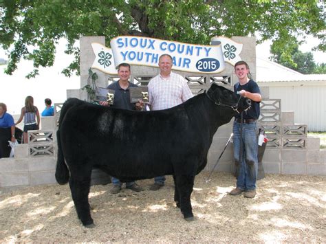 Rcc Blog Grand Champion Steer Sioux County Iowa Fair