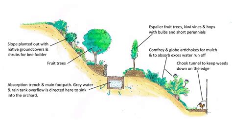 Planting On A Slope Good Life Permaculture Retrosuburbia Orchard