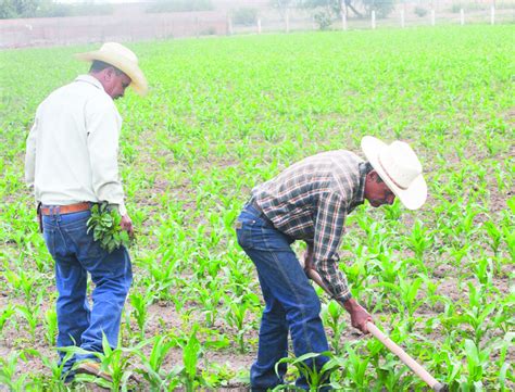 Conagua Exhorta A Renovar T Tulos De Concesi N