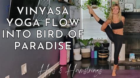 Vinyasa Yoga Flow Into Bird Of Paradise Hips And Hamstrings Yoga