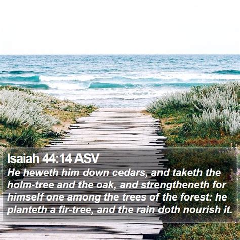 Isaiah 4414 Asv He Heweth Him Down Cedars And Taketh The