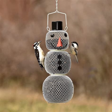 12 Whimsical Winter Bird Feeders - Birds and Blooms