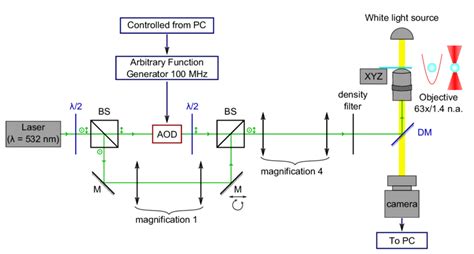 Schematic Representation Of Optical Tweezers Set Up Used To Trap Two