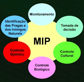 Potiguar Serviços Manejo Integrado de Pragas