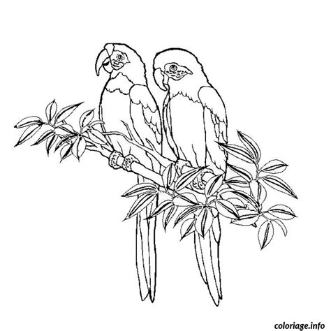 Coloriage Oiseaux JeColorie