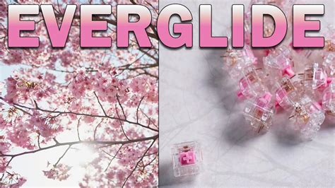 Everglide Sakura Pink Typing Sounds [NOT LUBED] | Stock Everglide ...