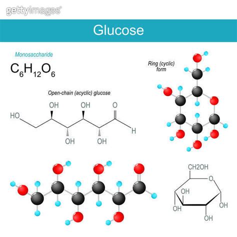 Glucose molecule molecular chemical structural formula 이미지 1571803119