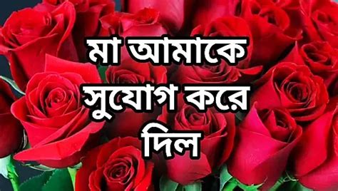 Bangla Choto Golpo Beautiful Mature Saree Chachi Sadia Akhter Cheating