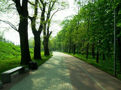 Park Zamkowy Racib Rz Przewodnik Dioblina