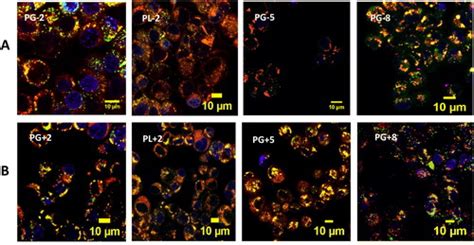 Full Article In Vitro Evaluation Of Physicochemical Dependent Effects