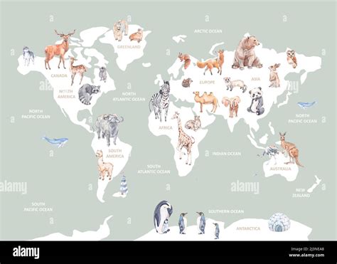 D Crypter Imagen Carte Du Monde Animaux Fr Thptnganamst Edu Vn