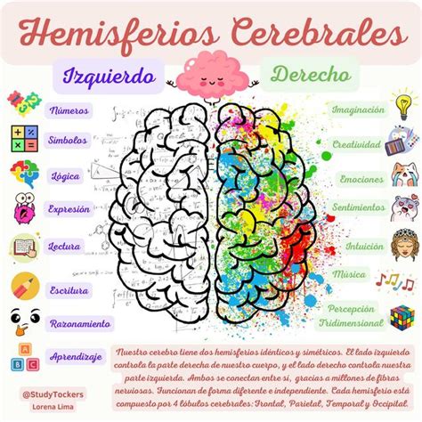 Arriba Imagen Mapa Mental Hemisferios Cerebrales Abzlocal Mx 11340