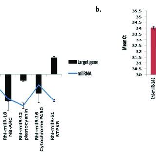 Expression Analysis Of Target Genes A QRT PCR Expression Analysis Of