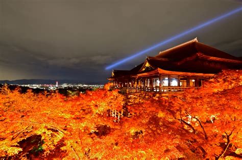 Best Autumn Leaves Spots In Kyoto 2023 Japan Web Magazine