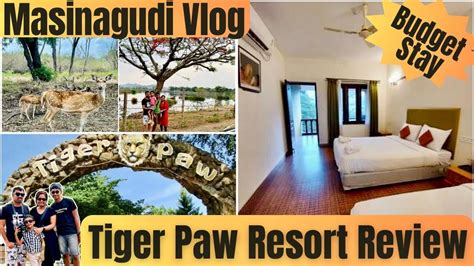 Bangalore To Masinagudi Trip Tiger Paw Resort Review Budget Resort