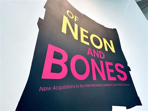 Yellowstone Art Museum - Meghan Bissonnette, “Nineteen Dresses, No. 3