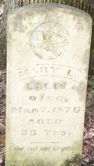 Mary Lavinia McMillen Ellis 1843 1876 Find A Grave Memorial