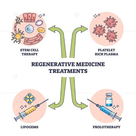 Regenerative Medicine Treatment Methods For Patient Cure Outline Diagram Vectormine