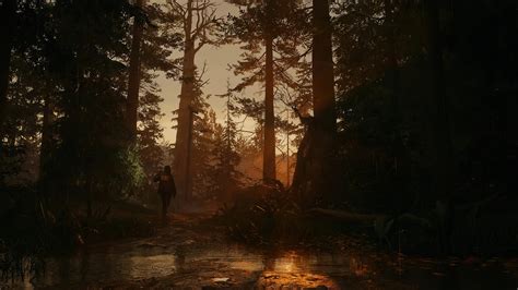 Alan Wake II Everything You Need To Know About This Survival Horror