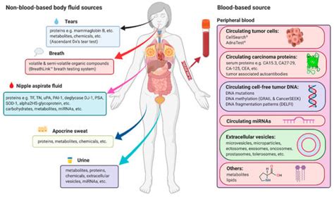 Cancers Free Full Text Non Invasive Biomarkers For Early Detection