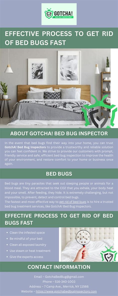 Ppt Effective Process To Get Rid Of Bed Bugs Fast Powerpoint