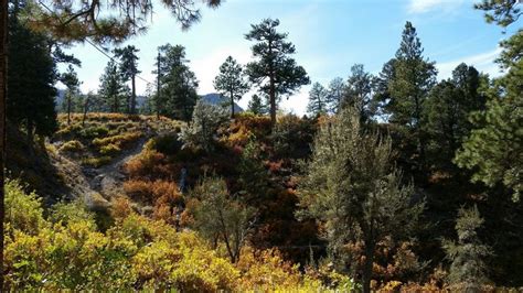 This Fall Foliage Drive Is One Of The Best Autumn Day Trips In Nevada