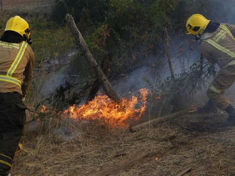 Activo Se Mantiene Incendio Forestal En Pirque Y Sigue Alerta Roja En