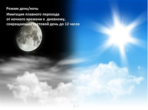 День ночь картинки (28 фото)