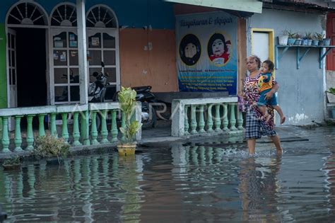 Banjir Rob Rendam Pemukiman Warga Di Palu Antara Foto