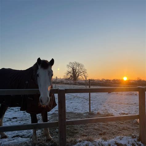 Photo Gallery Park Farm Stables