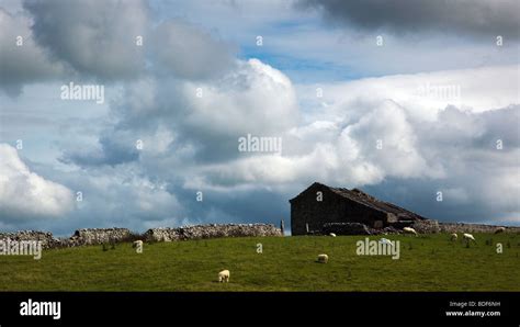 Derelict Barn Yorkshire Dales England Uk Stock Photo Alamy