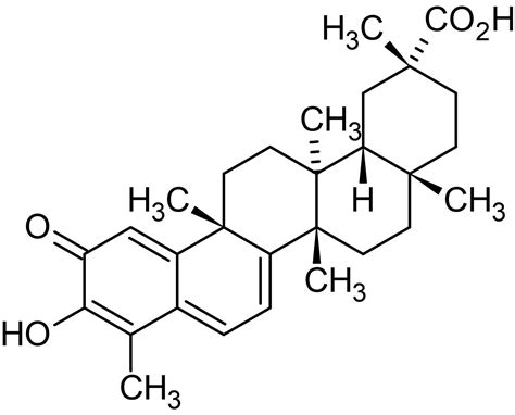 Celastrol From Celastrus ScandensAnti Inflammatory And