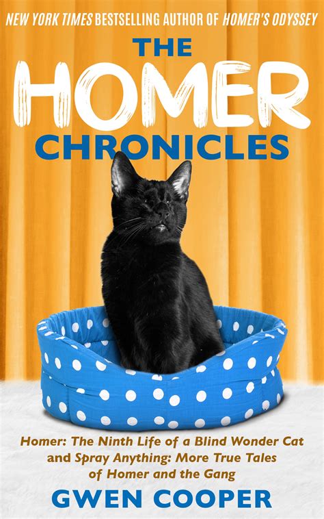 The Homer Chronicles Paperback Gwen Cooper Cat Books