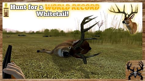 Deer Hunter 2005 Full Version Dptaia